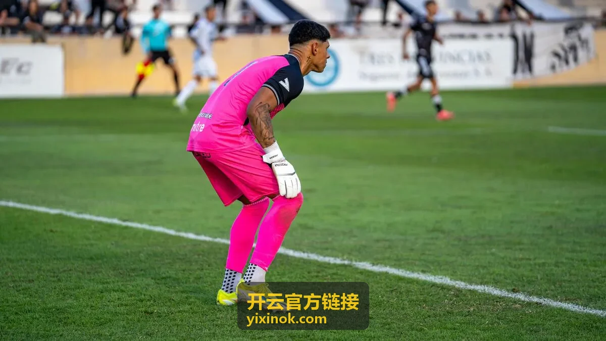 开云官方链接下载界面与资源导航预览